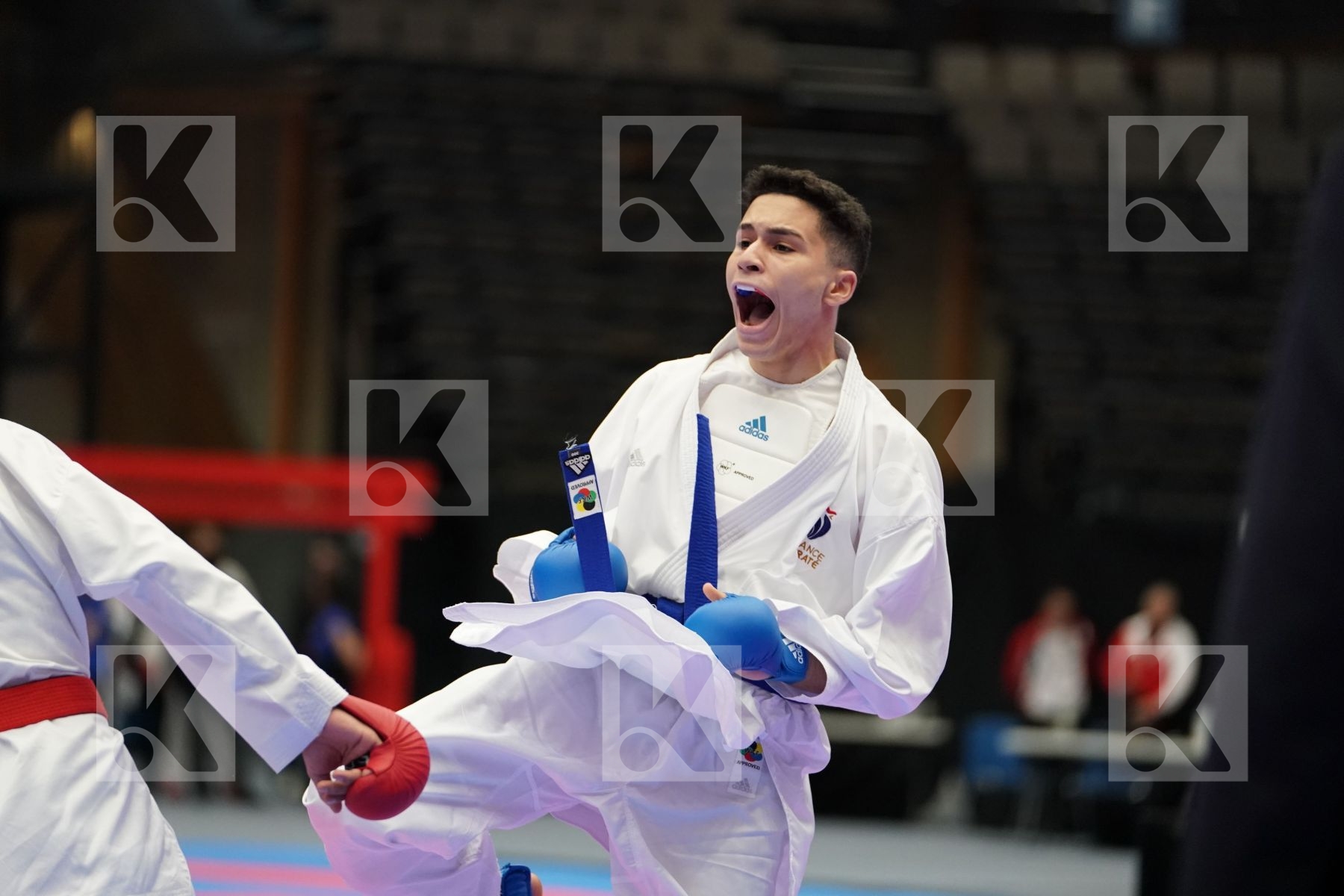 HOUNIFA ILIAS (BELGIUM) vs ABDESSELEM RAYBAK (FRANCE) in Junior Kumite Male Ð 76 Kg - Final bout