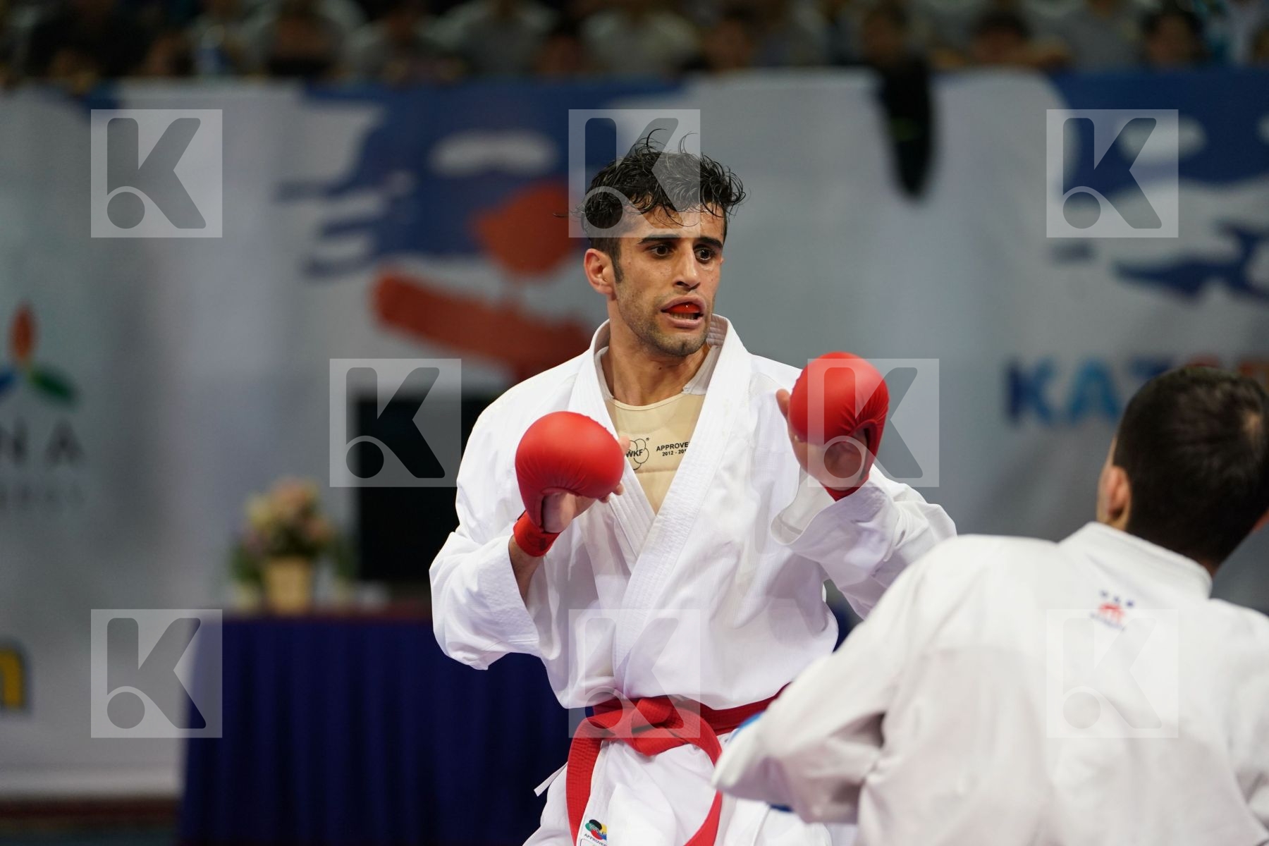 Aktauov Andrey Hassanniaideilami Majid Iran  islamic republic of