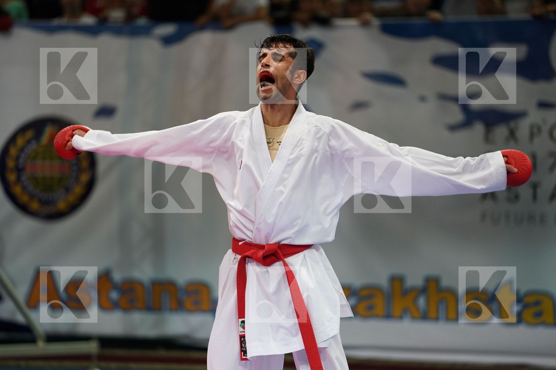 Aktauov Andrey Hassanniaideilami Majid Iran  islamic republic of