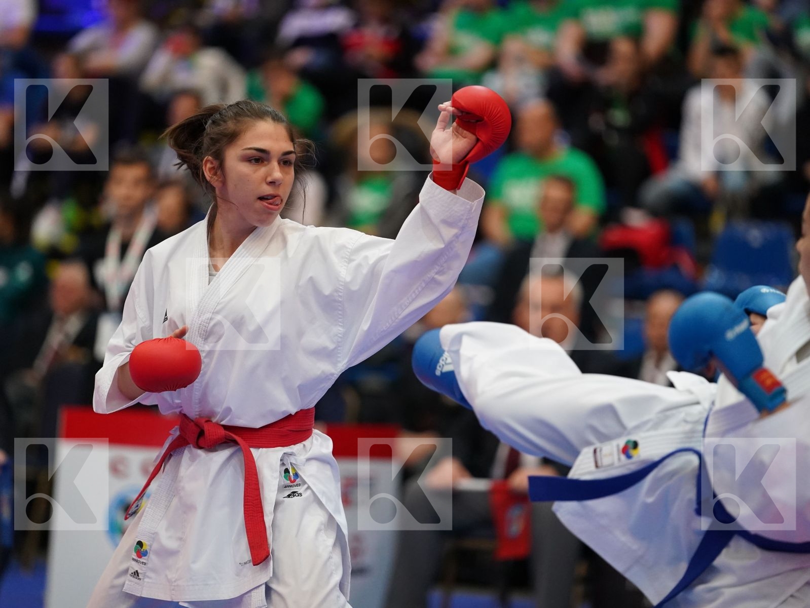 PEHAR JELENA (CROATIA) vs RODRIGUES CATARINA (PORTUGAL) in Under 21 Kumite Female -50 Kg - Final bout