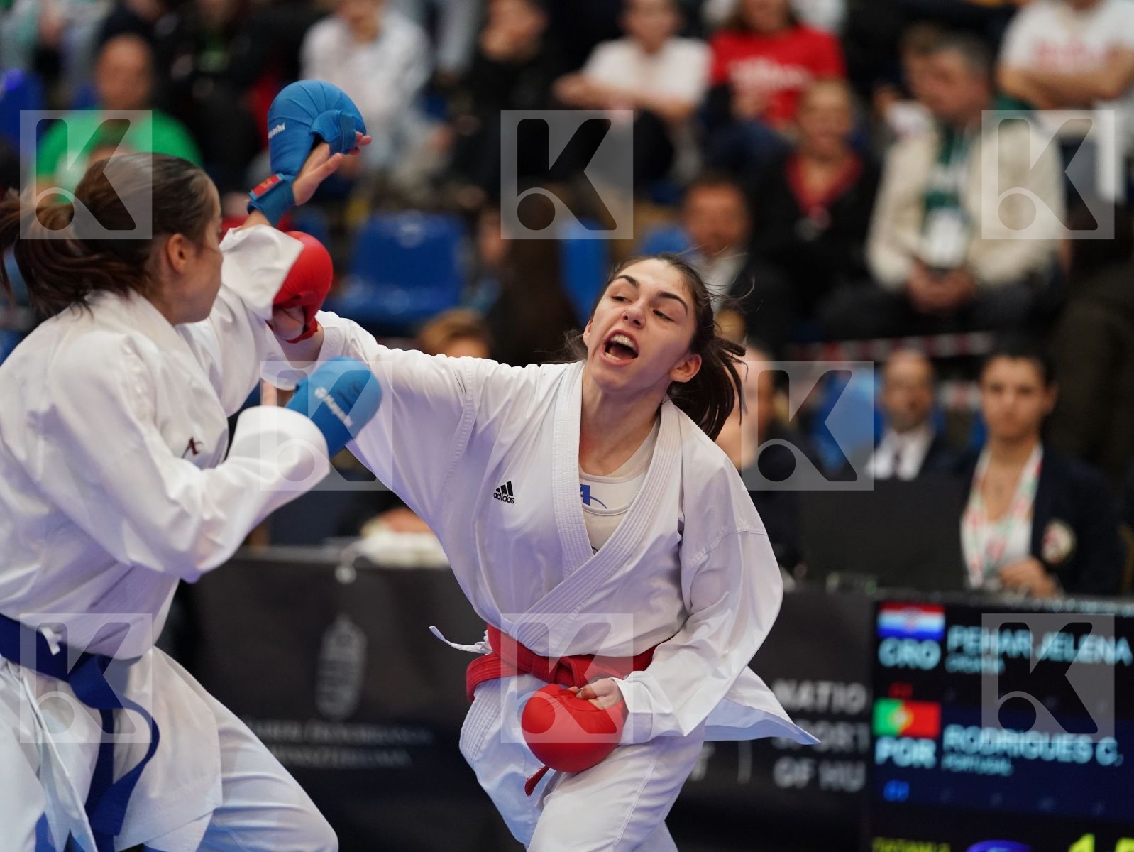 PEHAR JELENA (CROATIA) vs RODRIGUES CATARINA (PORTUGAL) in Under 21 Kumite Female -50 Kg - Final bout