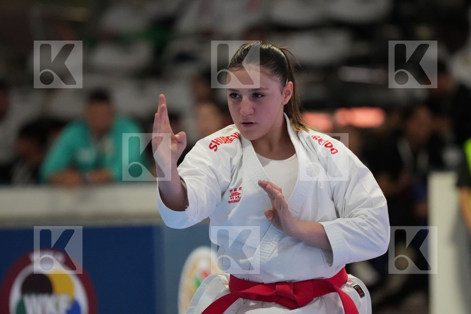 Kata bronze bout featuring NOURHAN SEWIDAN