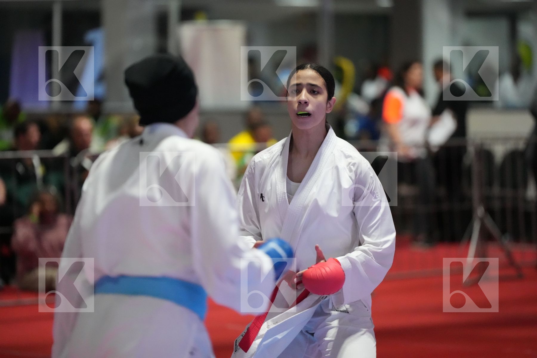 Kumite final bout featuring MALAK ELBARBARY & SALMA HAFED