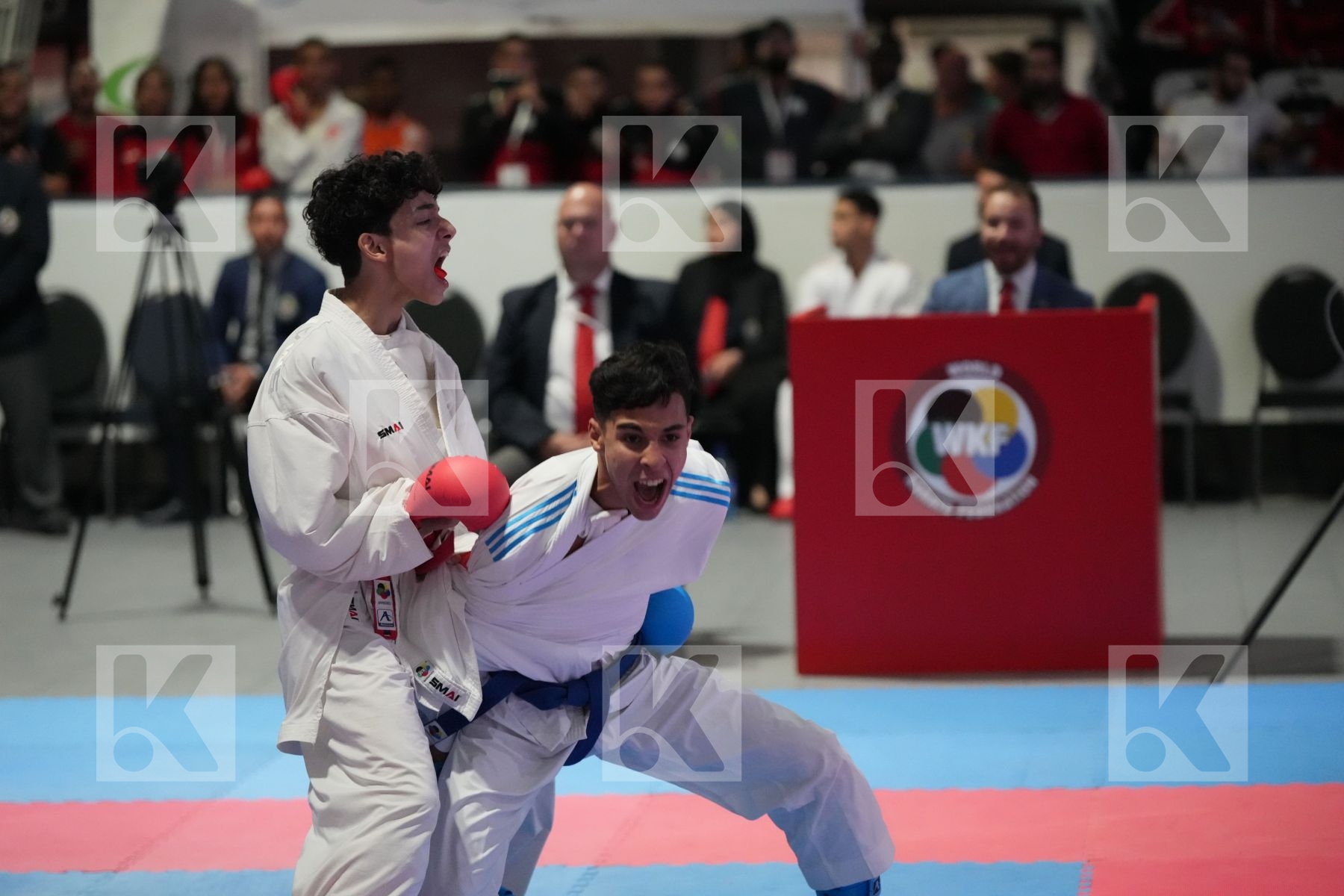 Kumite final bout featuring MOHAMED HANY NASSER & IHEB  FERCHICHI