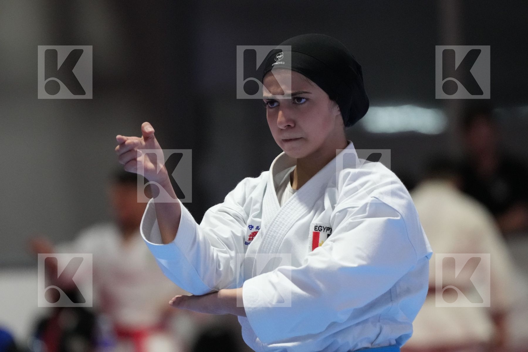Kata bronze bout featuring JANA KHAMIS