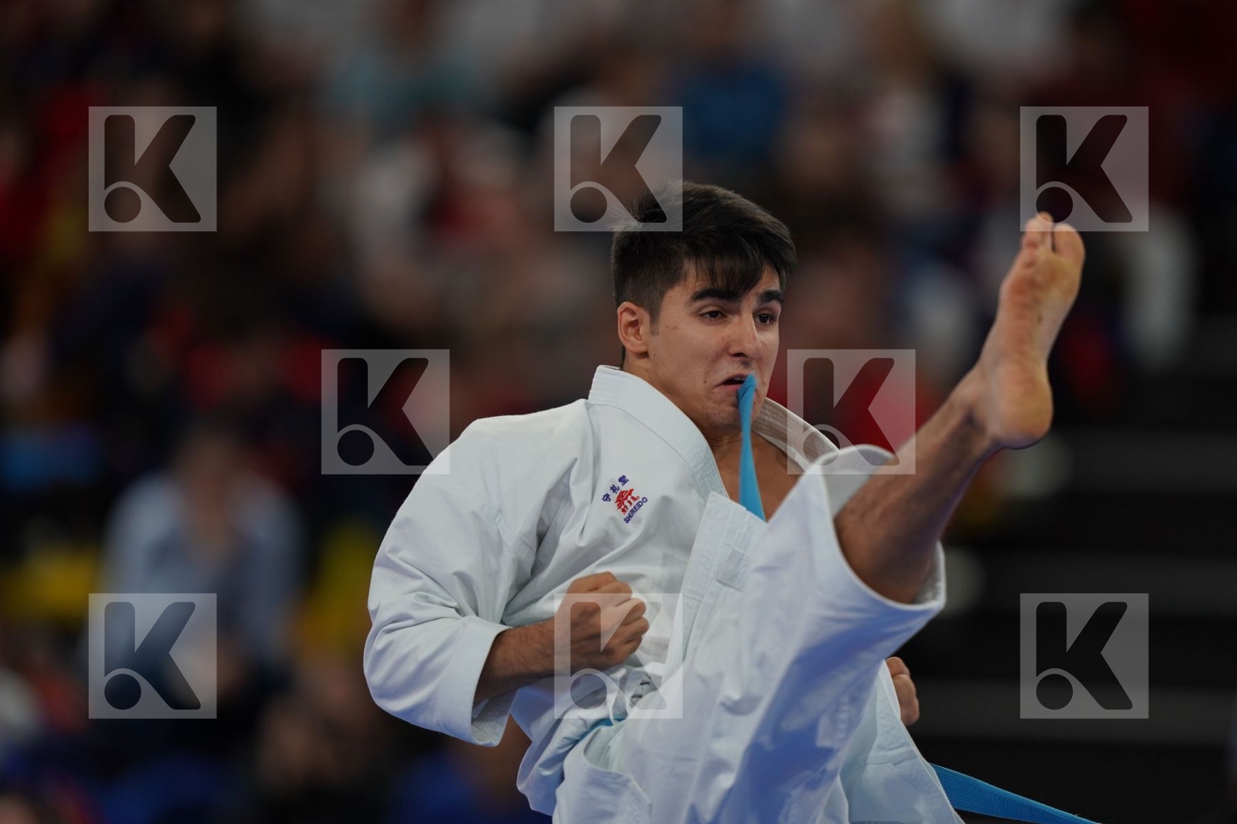 HEYDAROV ROMAN (AZERBAIJAN) in Senior Male Kata - Bronze bout