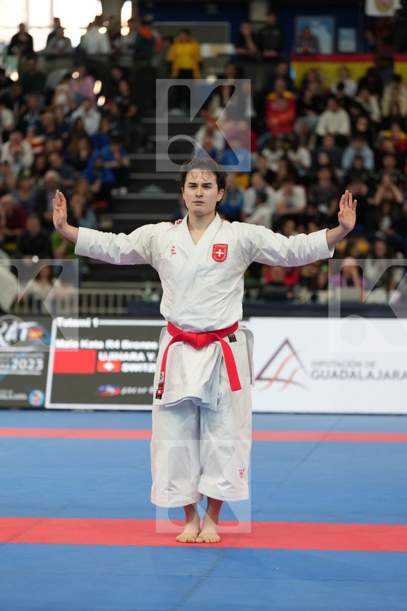 UJIHARA YUKI (SWITZERLAND) in Male Kata - bronze bout