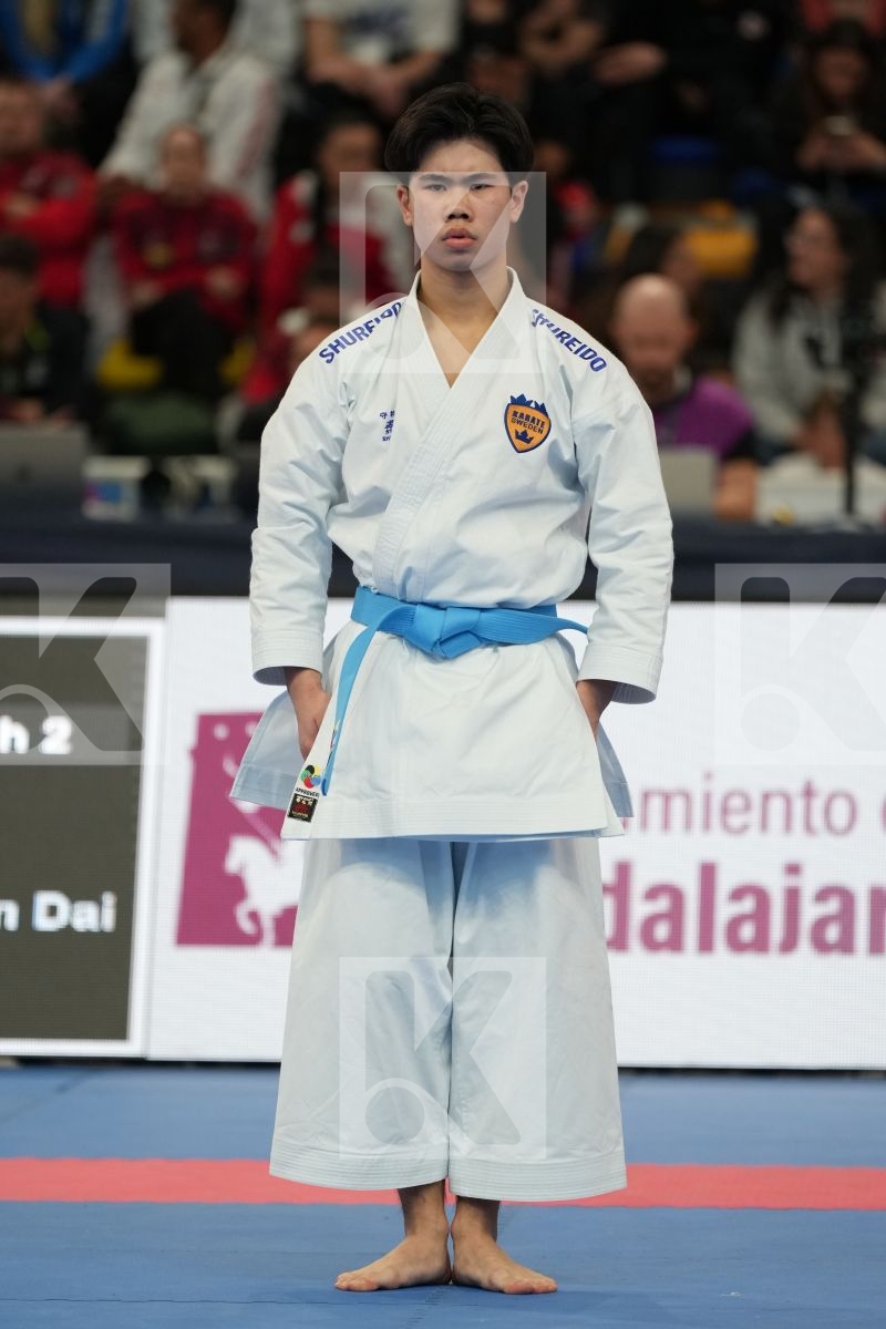 VU ANTHONY (SWEDEN) in Male Kata - bronze bout