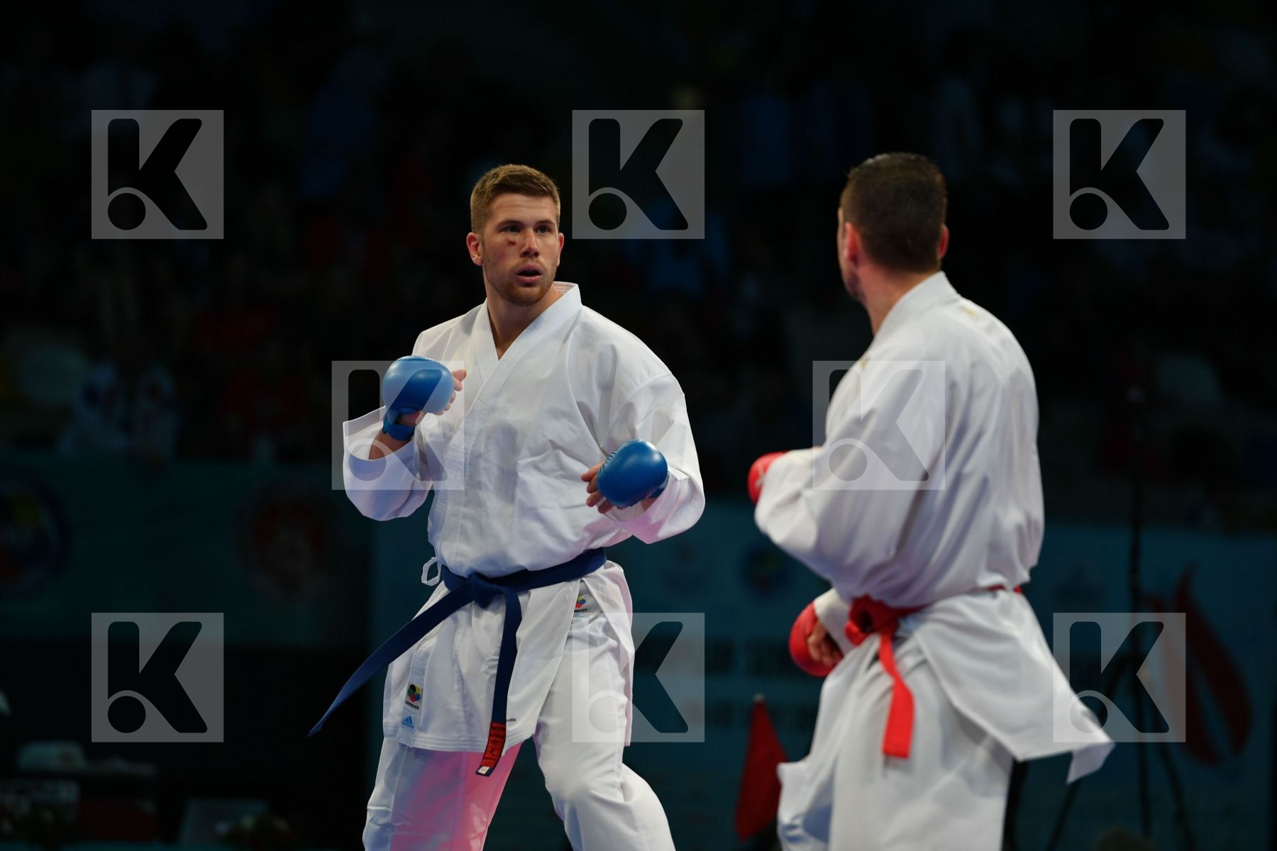 Bitevic Slobodan Hungary Male kumite 84+ kg Molnar Daniel Serbia