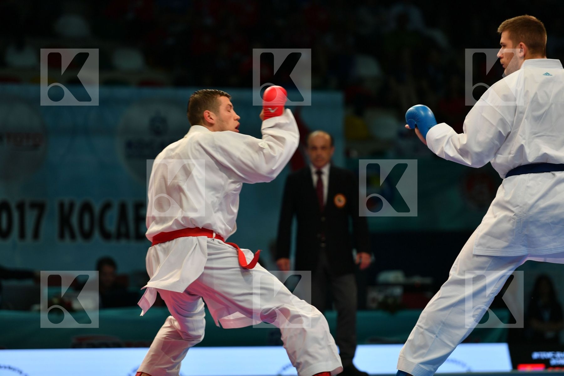 Bitevic Slobodan Hungary Male kumite 84+ kg Molnar Daniel Serbia