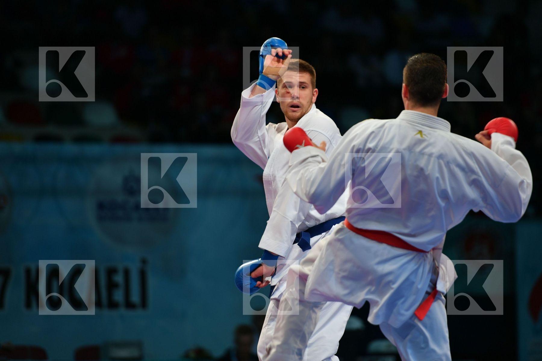 Bitevic Slobodan Hungary Male kumite 84+ kg Molnar Daniel Serbia