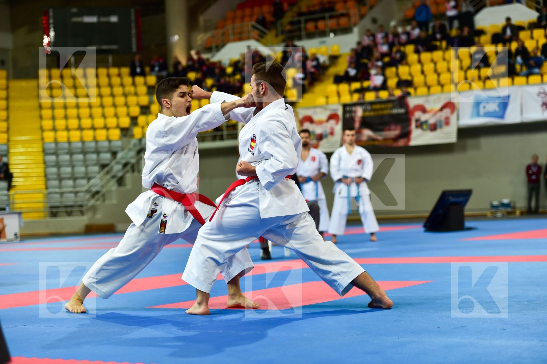 Cadets et Juniors DaeDo Kata Male Spain team