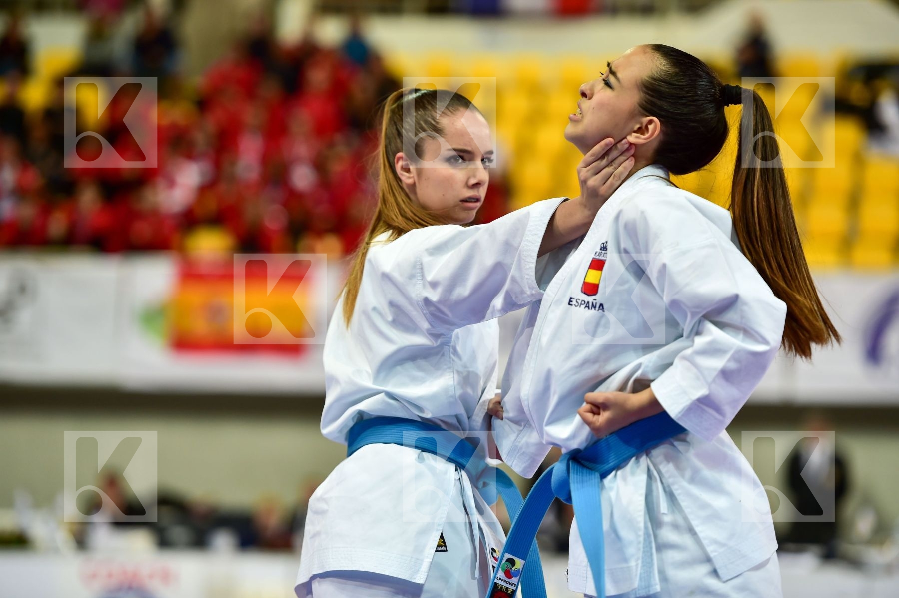 Cadets et Juniors DaeDo Female Kata Spain team