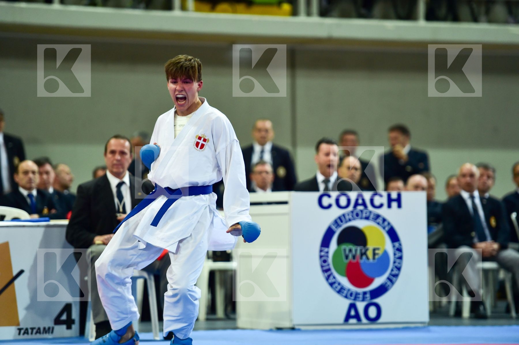 -75 Kg Abild Ludvig Budo Nord Denmark Italy KO Kumite Male Marti