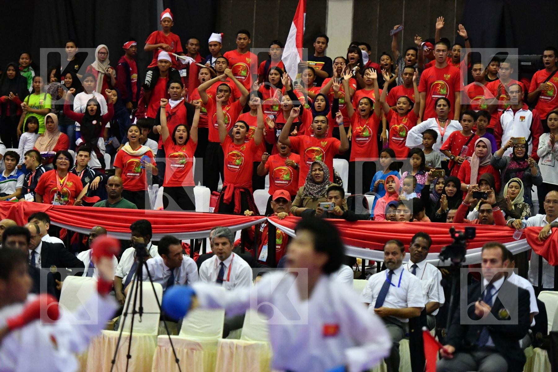 Indonesia supporter