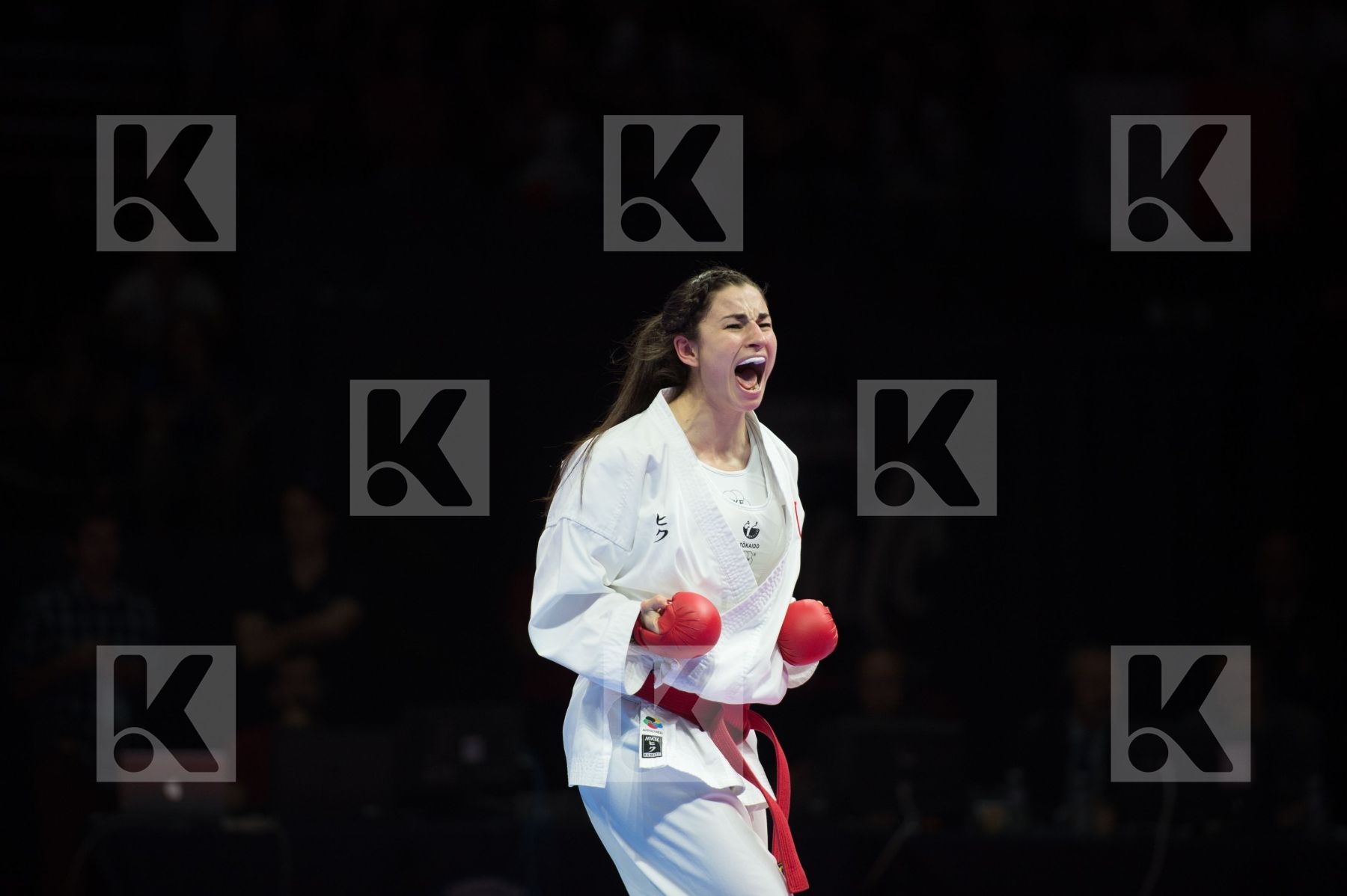 Austria Buchinger Alisa Female Kumite -68 Kg final Quirici Elena