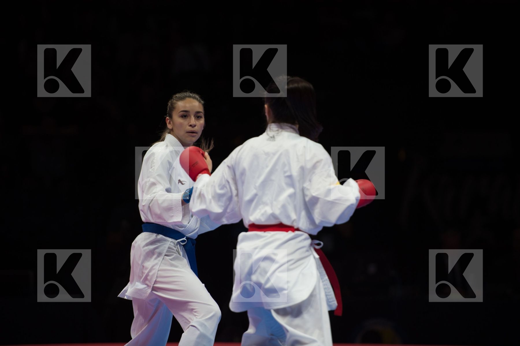 -55 Kg Cardin Sara Female final italy kumite Terliuga Anzhelika
