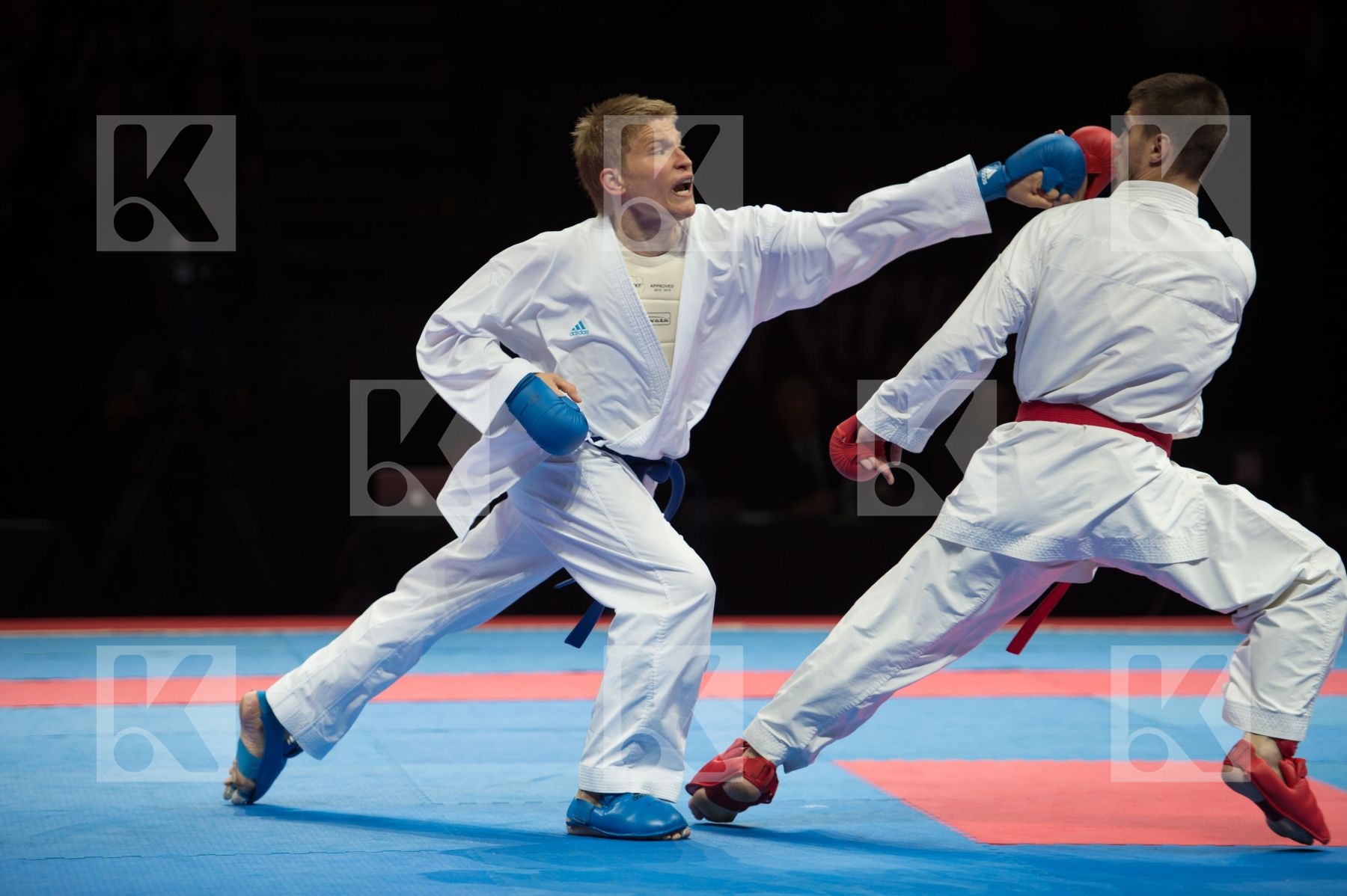bulgaria Category Country1 Country2 IsFinal male kumite -75 kg N