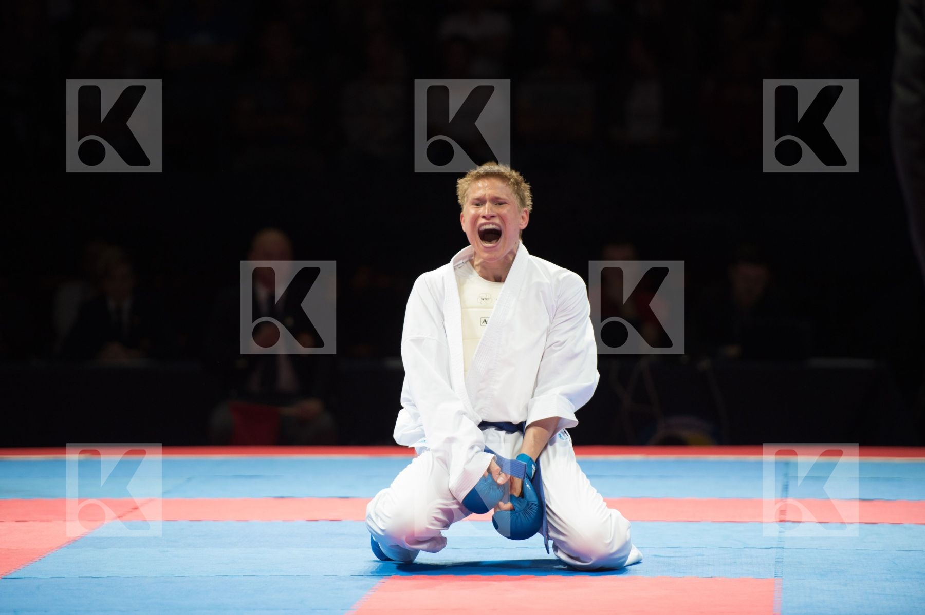 bulgaria Category Country1 Country2 IsFinal male kumite -75 kg N