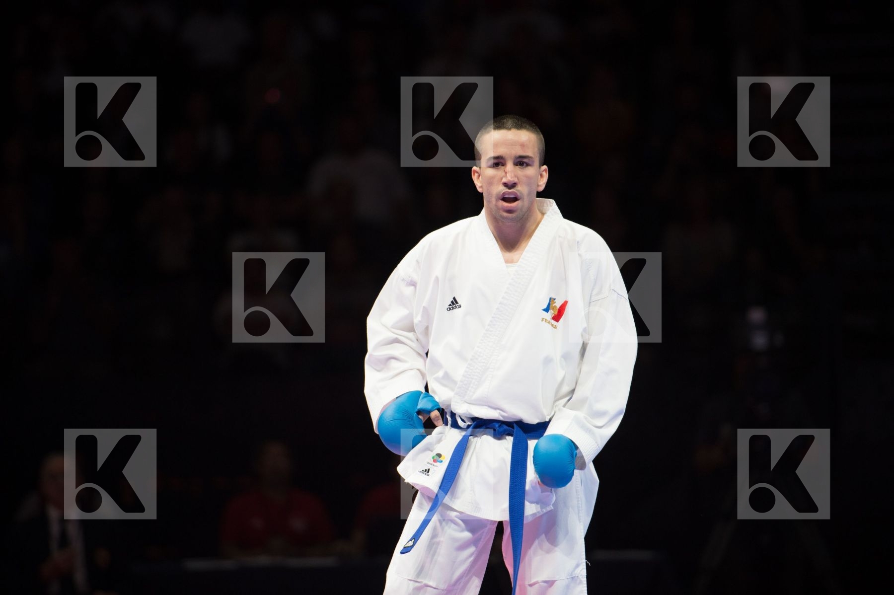 Category Country1 Country2 Da Costa Logan france harspataki gabo