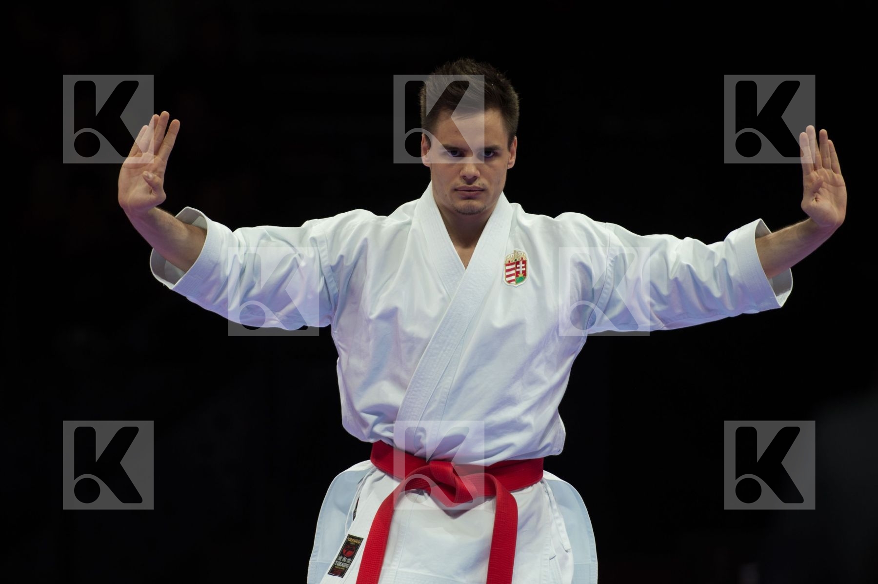 Hungary kata Male Nagy Botond semi-final