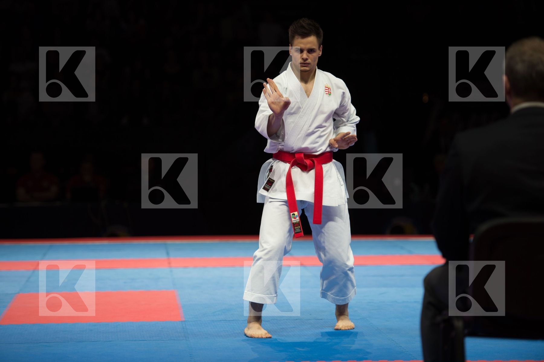 Hungary kata Male Nagy Botond semi-final