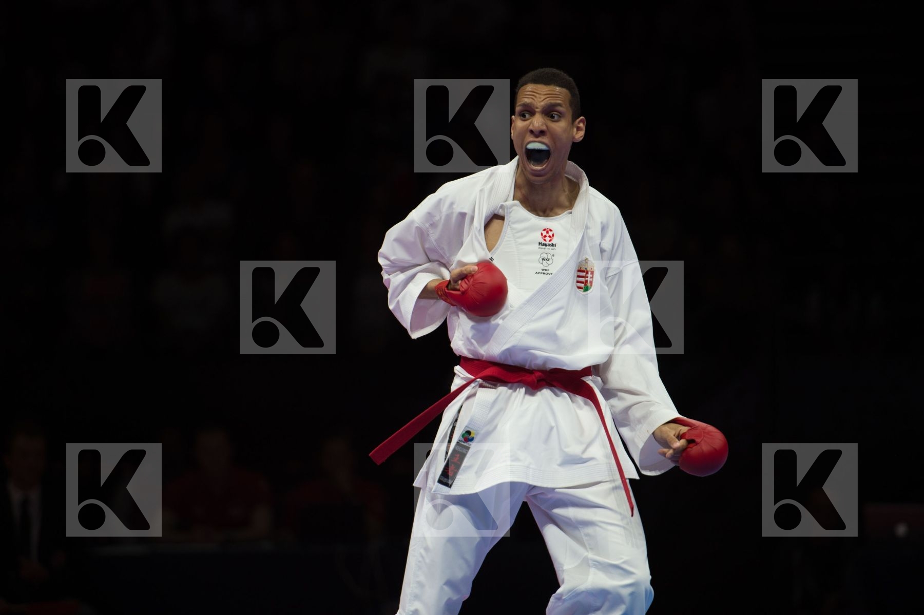 -67 Kg Hungary joksic stefan male kumite semi-final Serbia Tadis