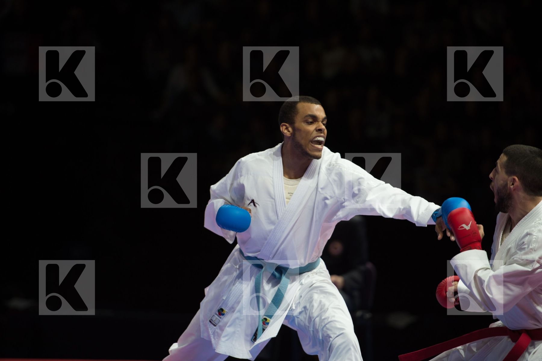 kumite Male netherlands semi-final Serbia team
