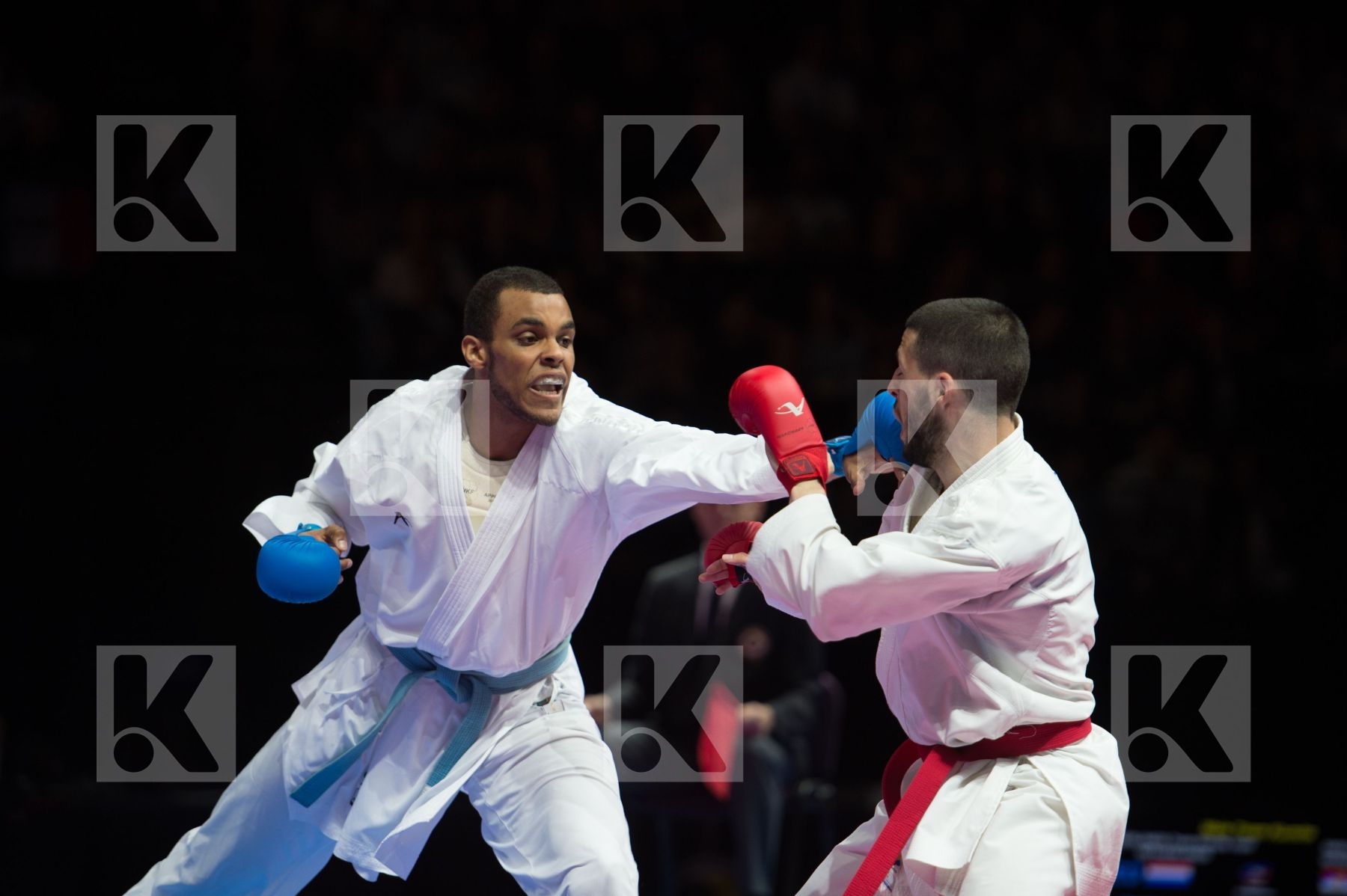 kumite Male netherlands semi-final Serbia team