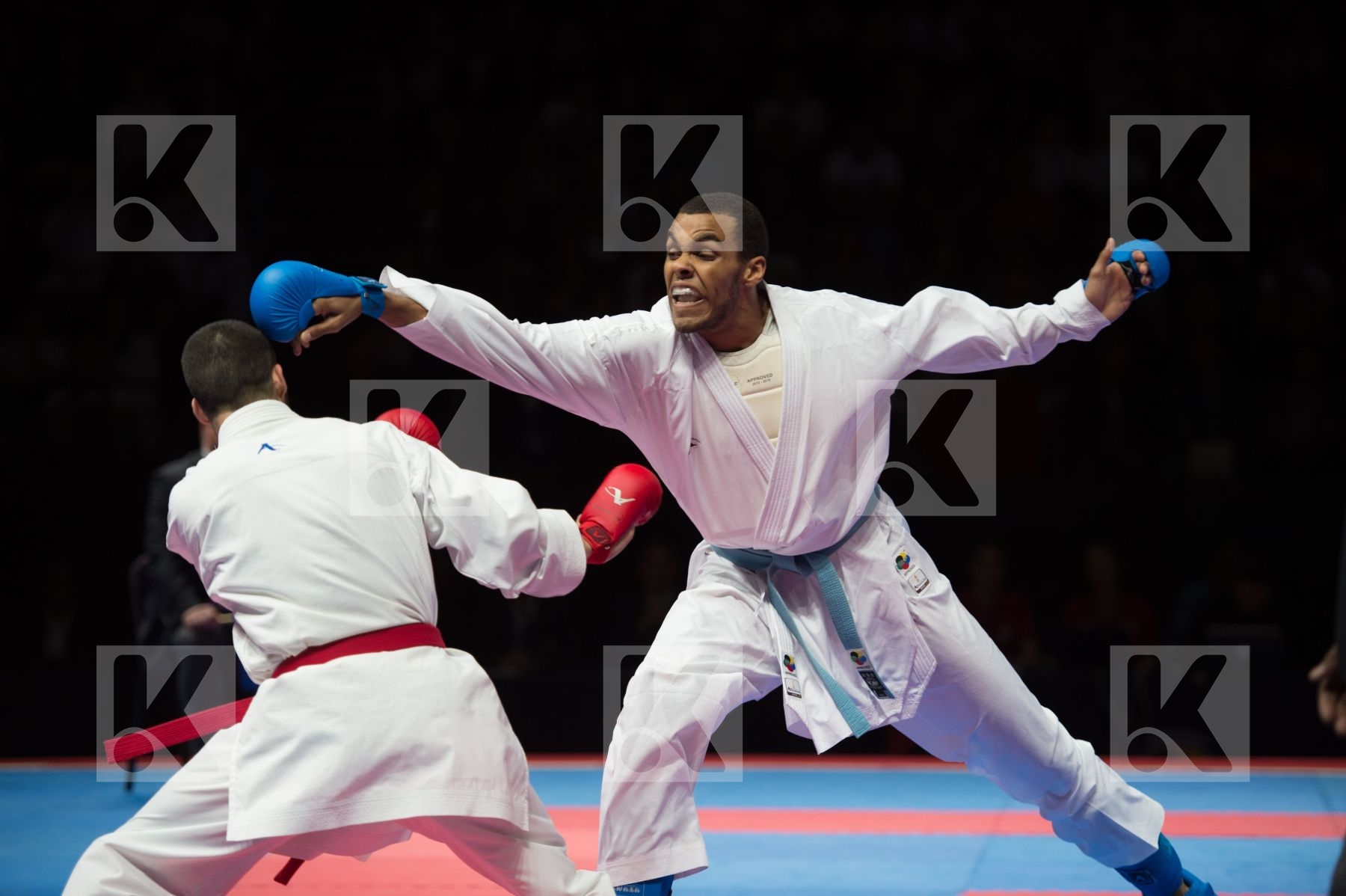 kumite Male netherlands semi-final Serbia team