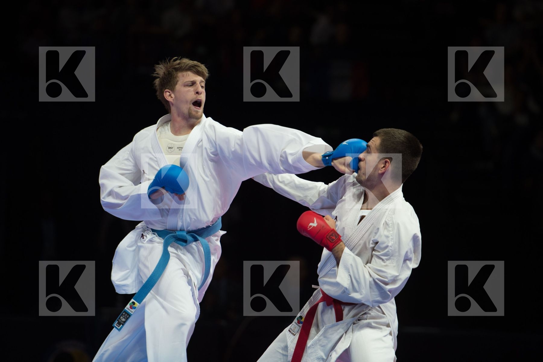 kumite Male netherlands semi-final Serbia team