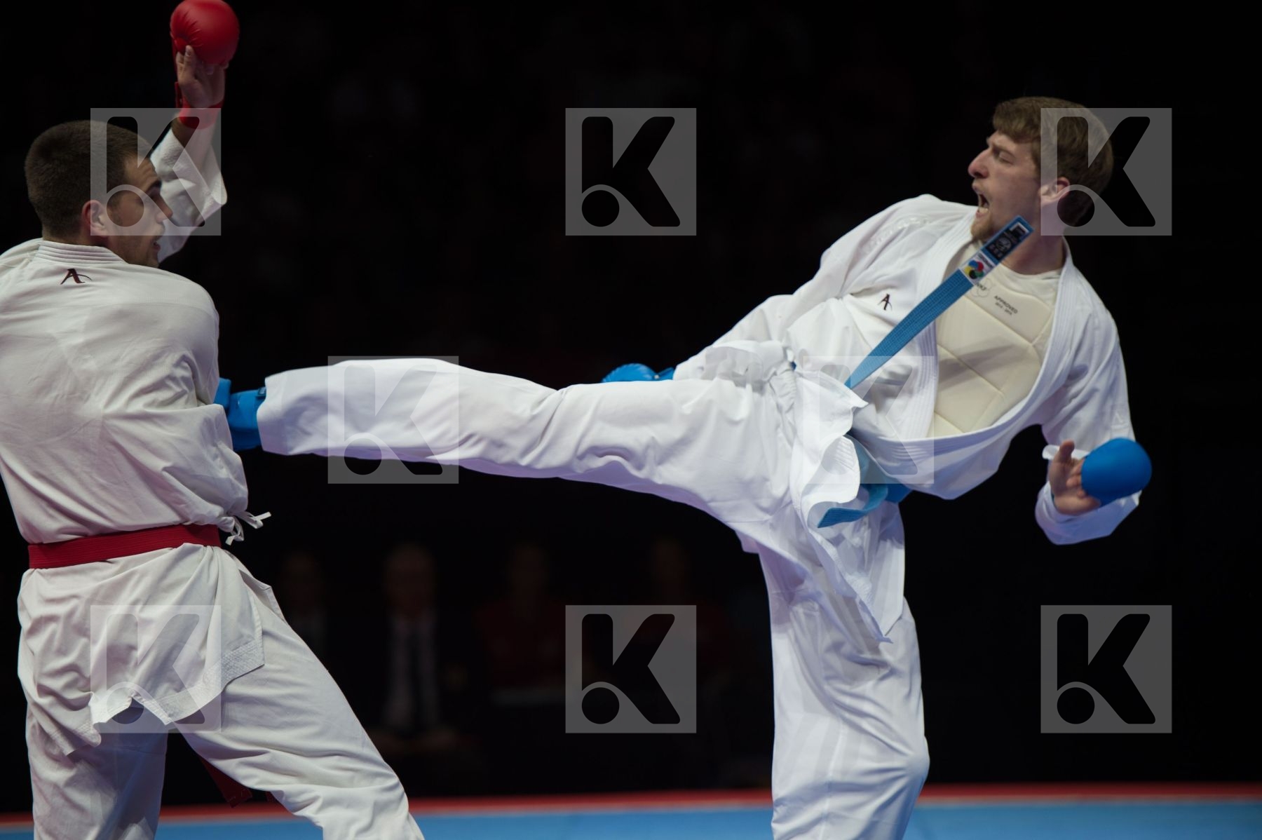 kumite Male netherlands semi-final Serbia team