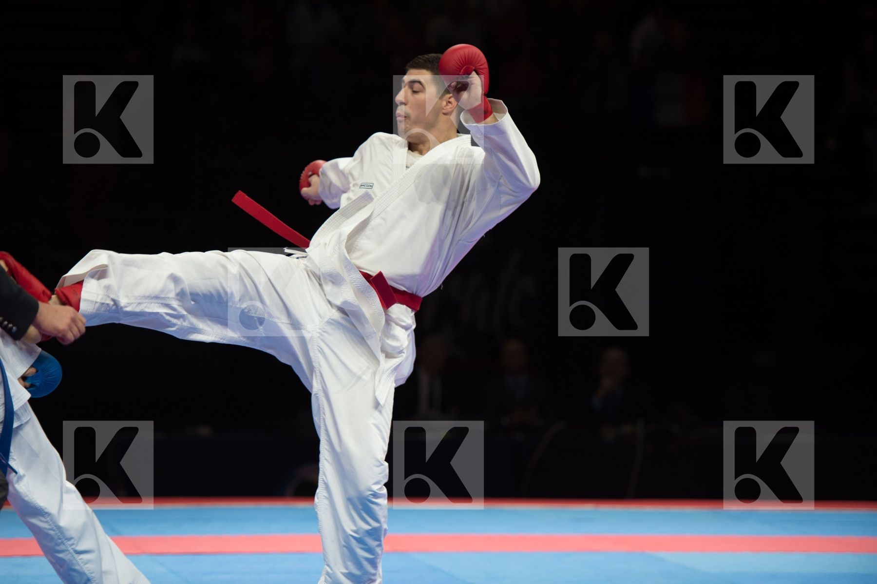 kumite Male netherlands semi-final Serbia team