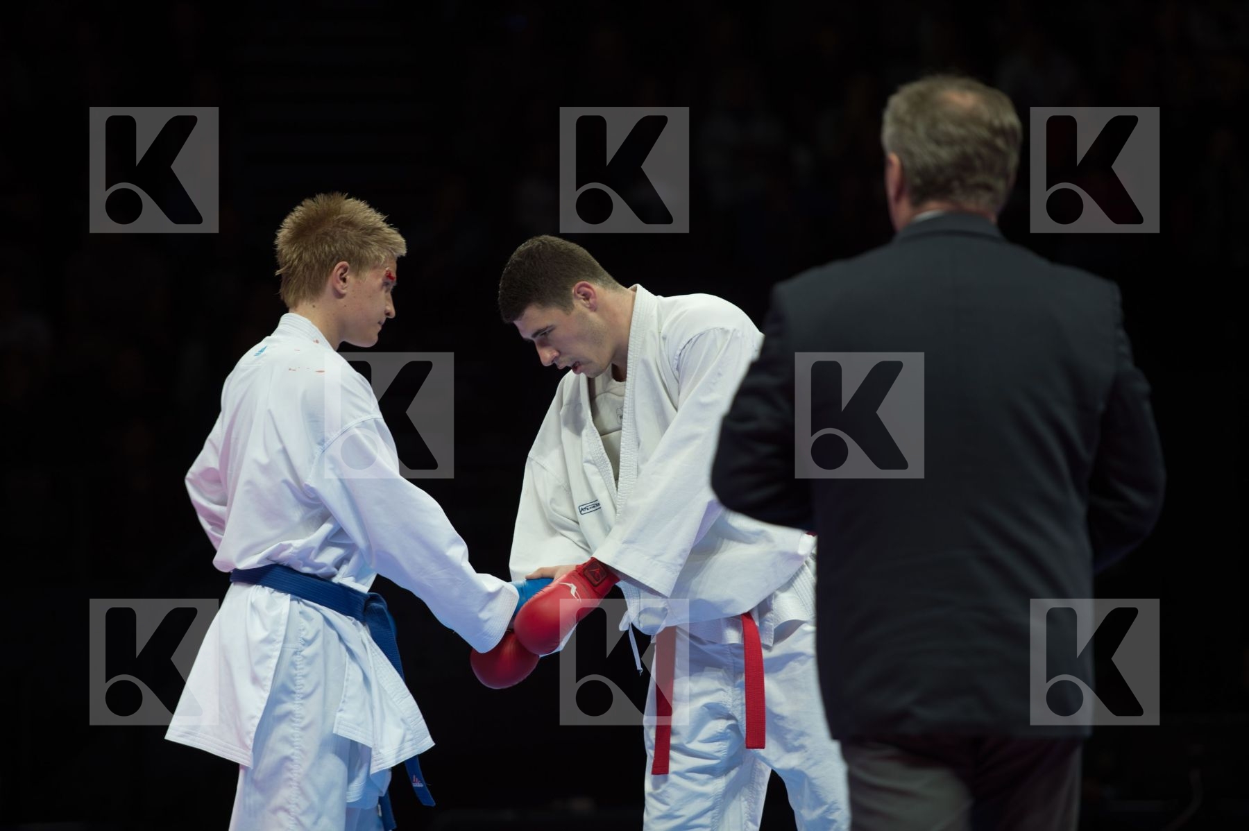 kumite Male netherlands semi-final Serbia team