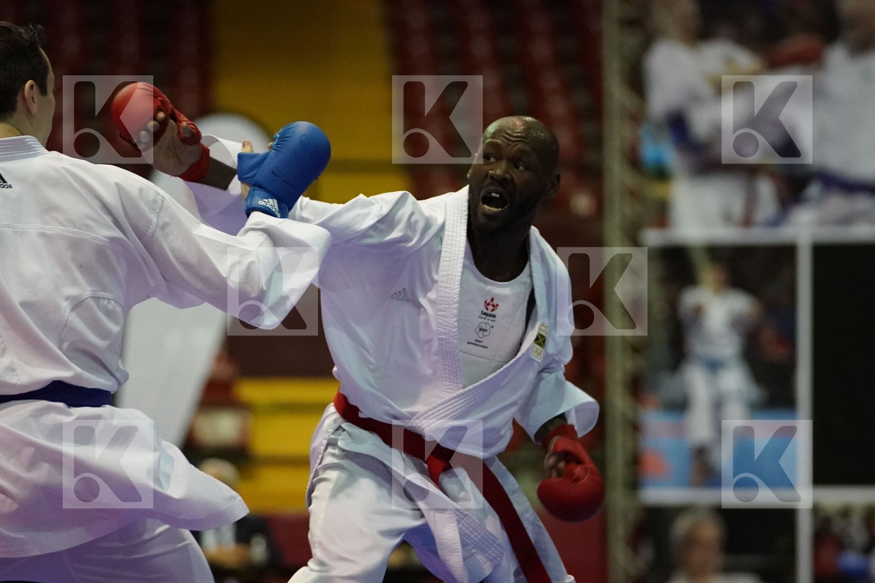 BROWN ALTON (JAMAICA) vs SCOTT THOMAS (USA) in Senior Kumite -75 Kg - Final bout