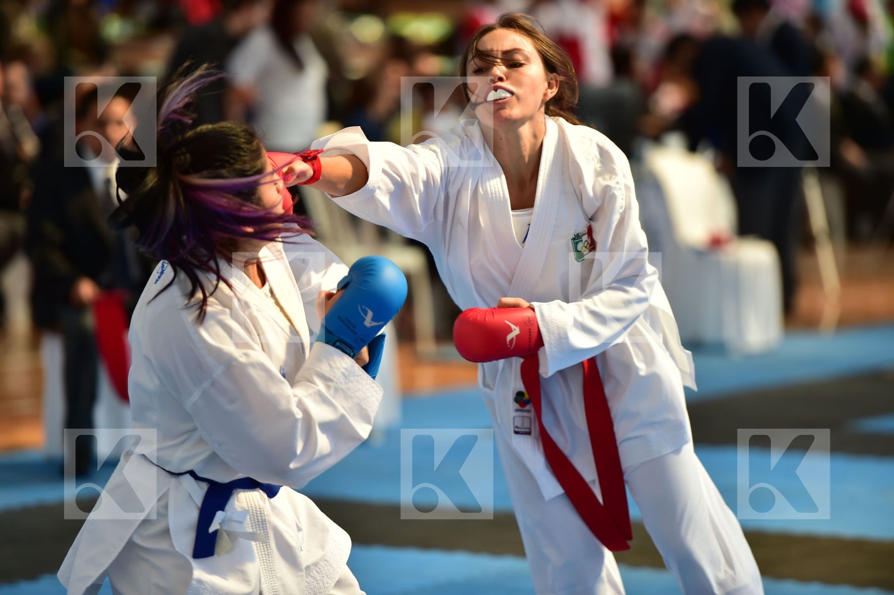 Top action photo N°16