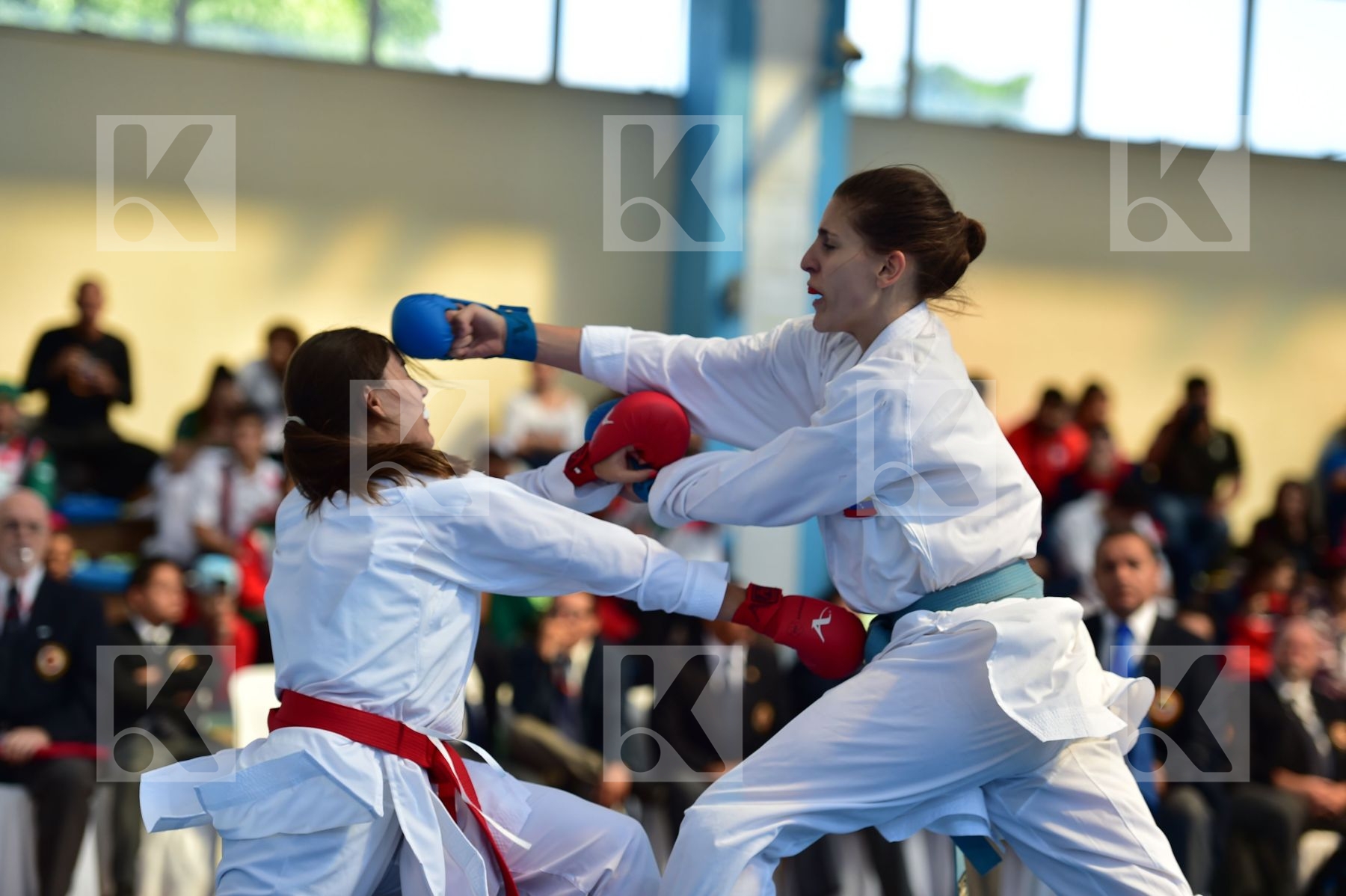 Top action photo N°24