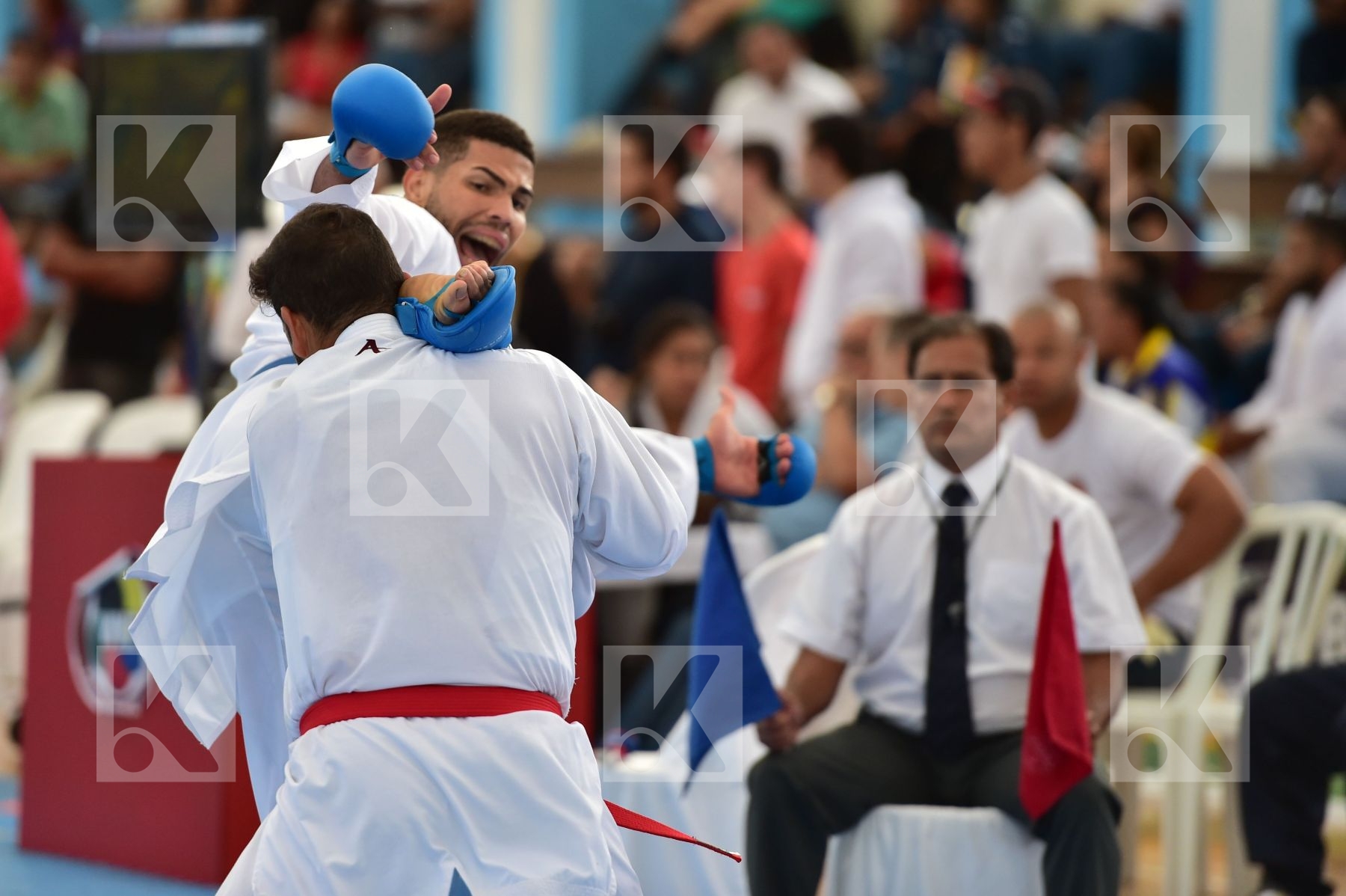 Top action photo N°35