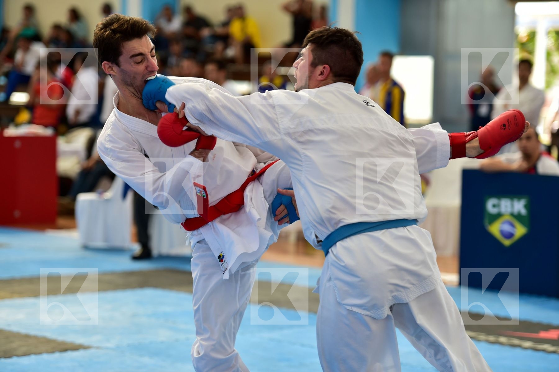 Top action photo N°37