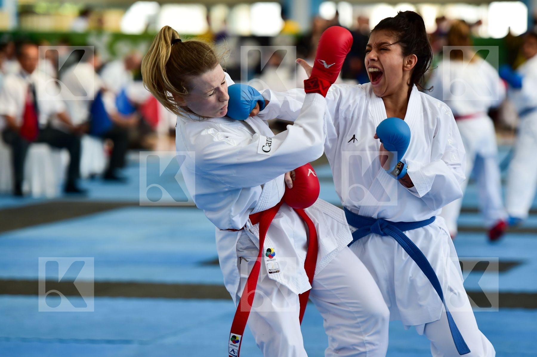 Top action photo N°44