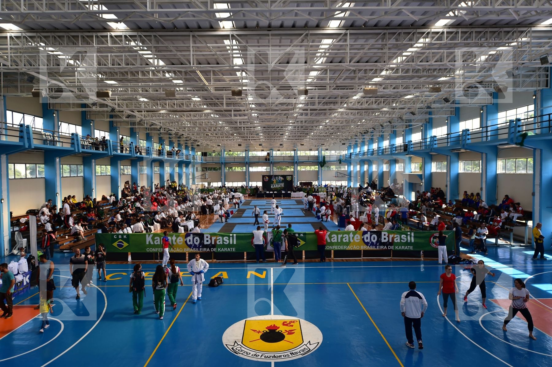 Top action photo N°47