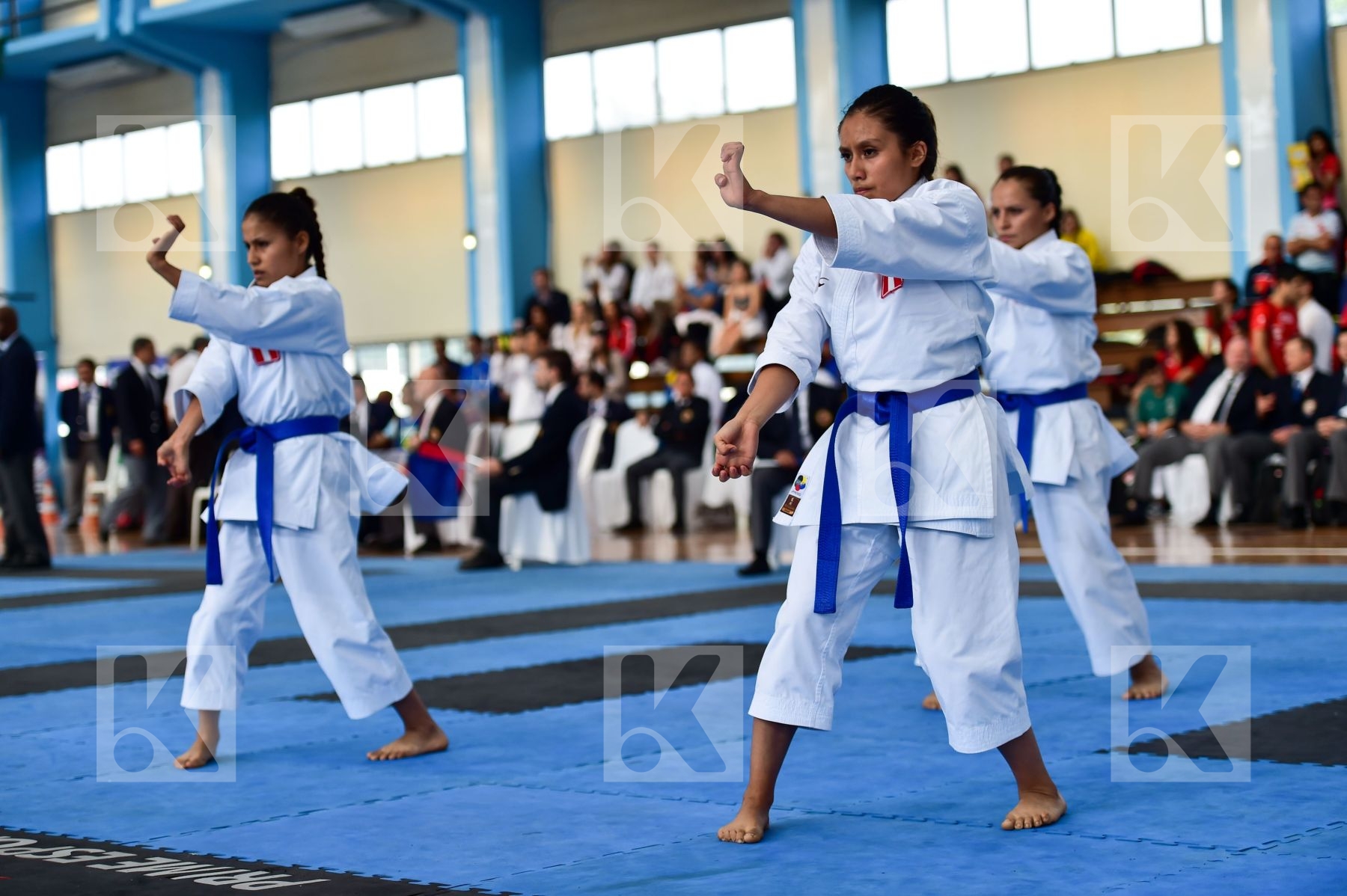 Top action photo N°60