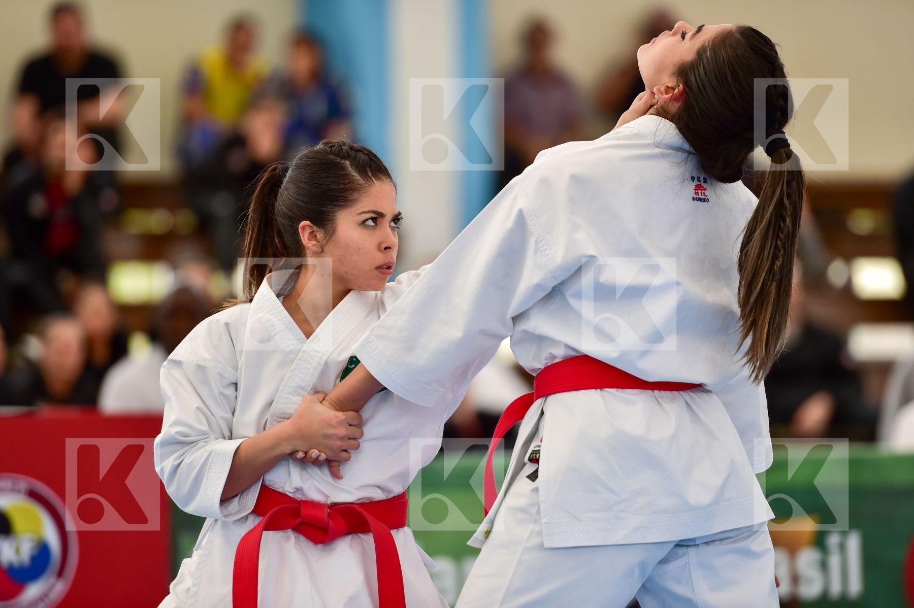 Brasil Female final kata Shureido team