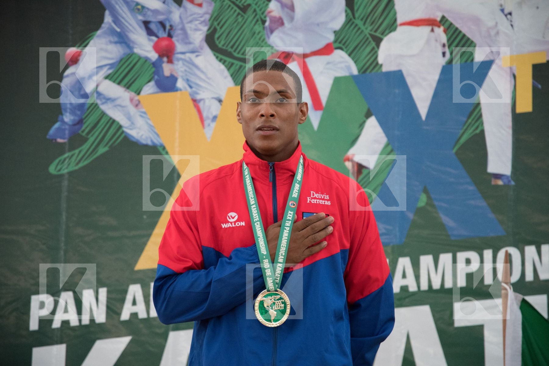 -67 Kg Brazil Dominican Republic Ferreras Deivis Figueira Vinici