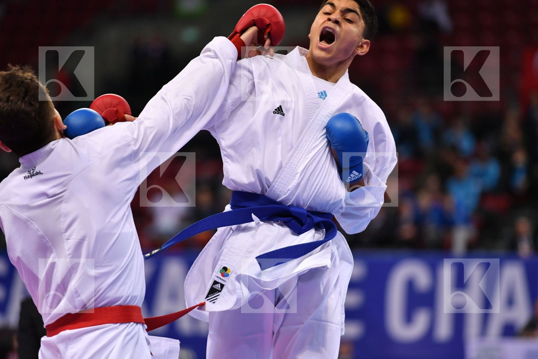 Bosnia and herzegovina Cajic Hamza Filali Mehdi France Junior ku