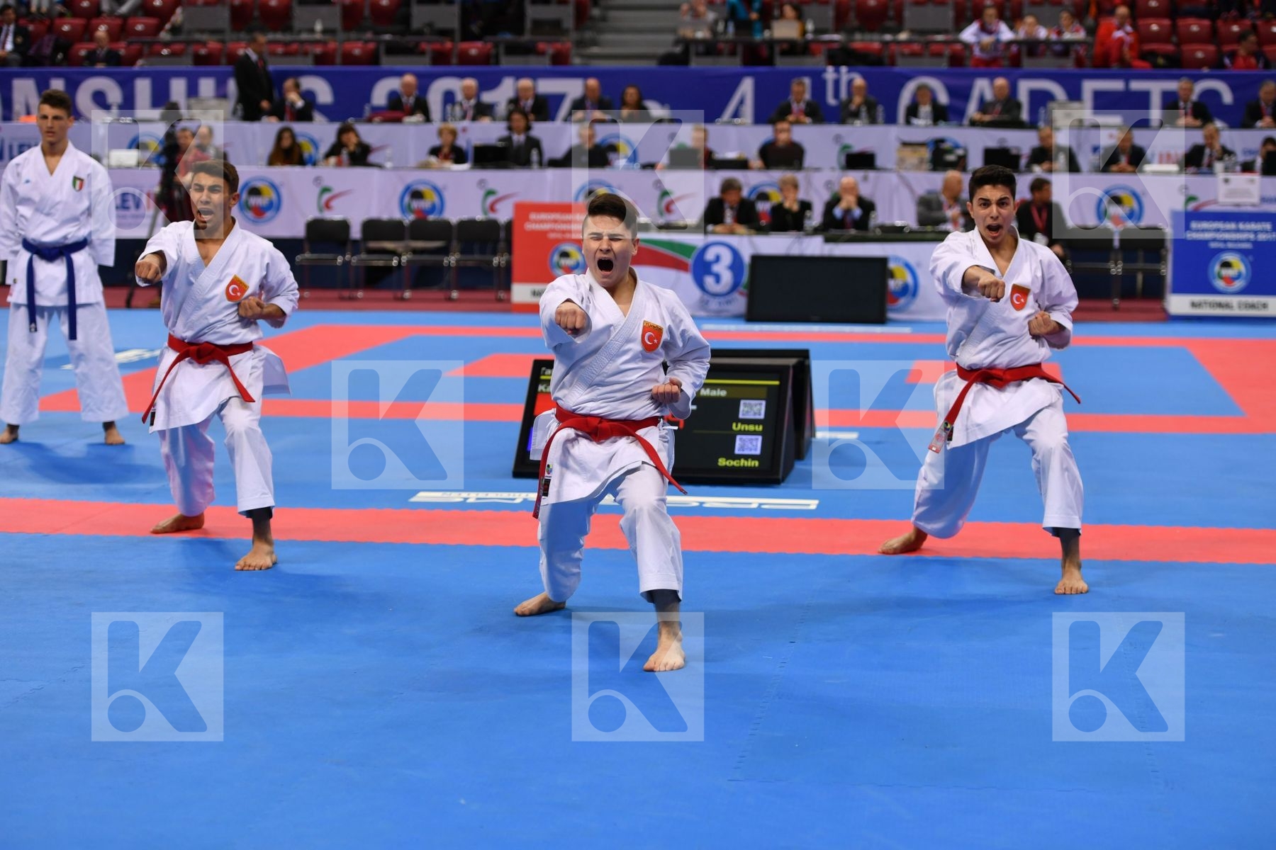 Turkey Kata team cadet and junior male Unsu