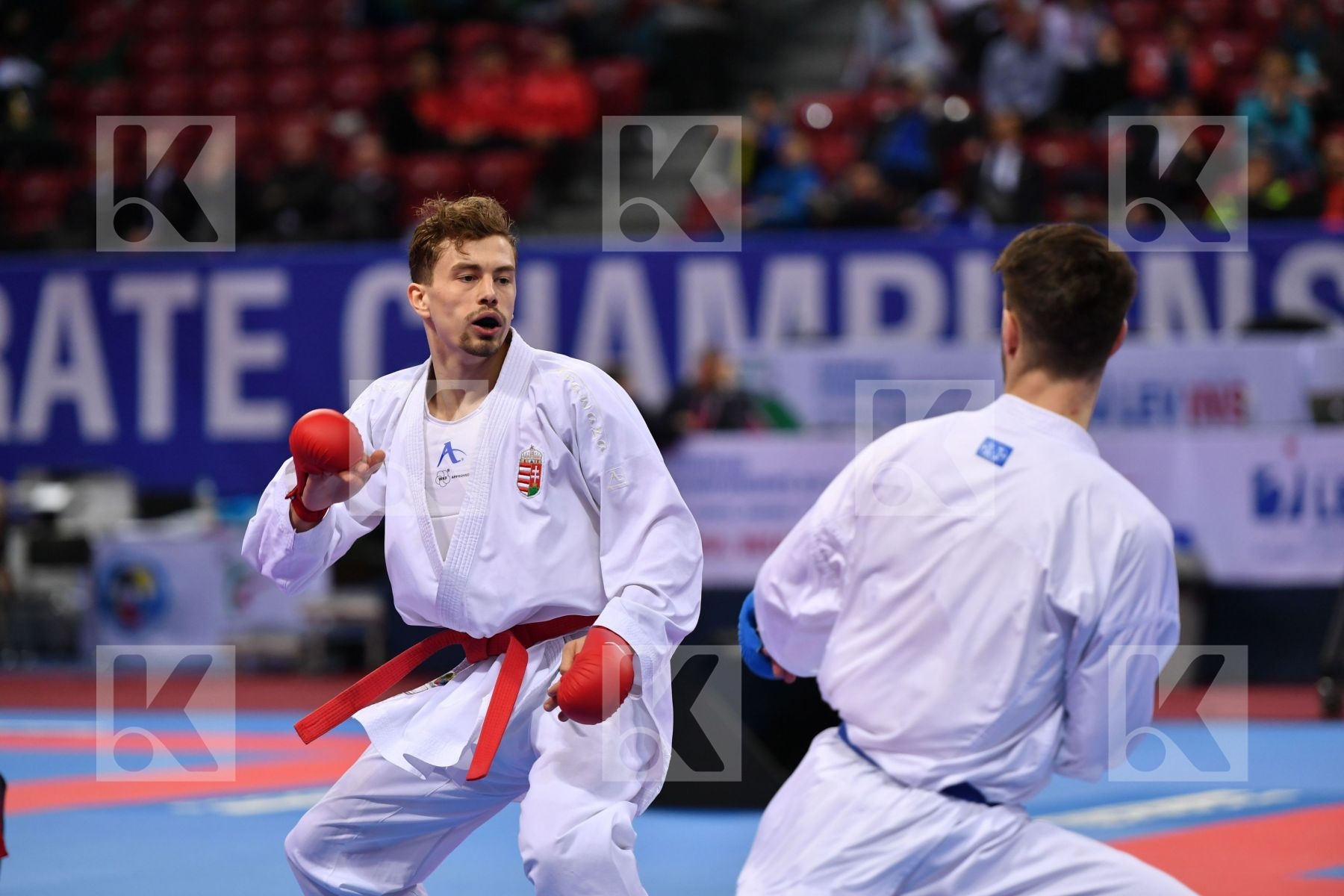 Harspataki Gabor Hungary Italy Martina Michele U21 kumite male -