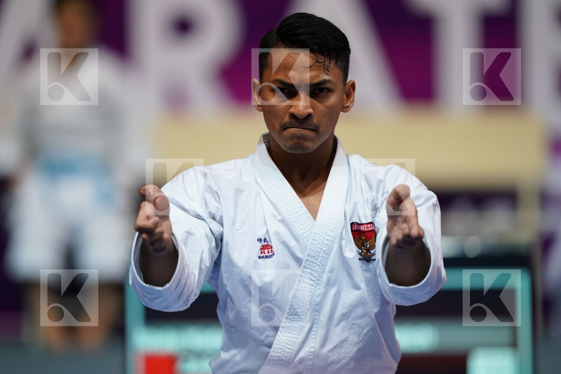 ZARESTA YUDA AHMAD ZIGI (INDONESIA) in Senior Male Kata - Final bout