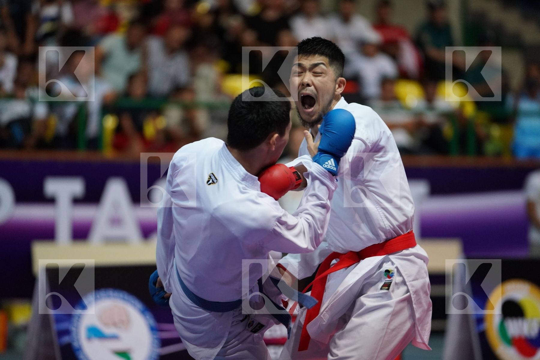 SHINOHARA HIROTO (JAPAN) vs AMIRALI DIDAR (KAZAKHSTAN) in Senior Kumite -67 Kg - Final bout