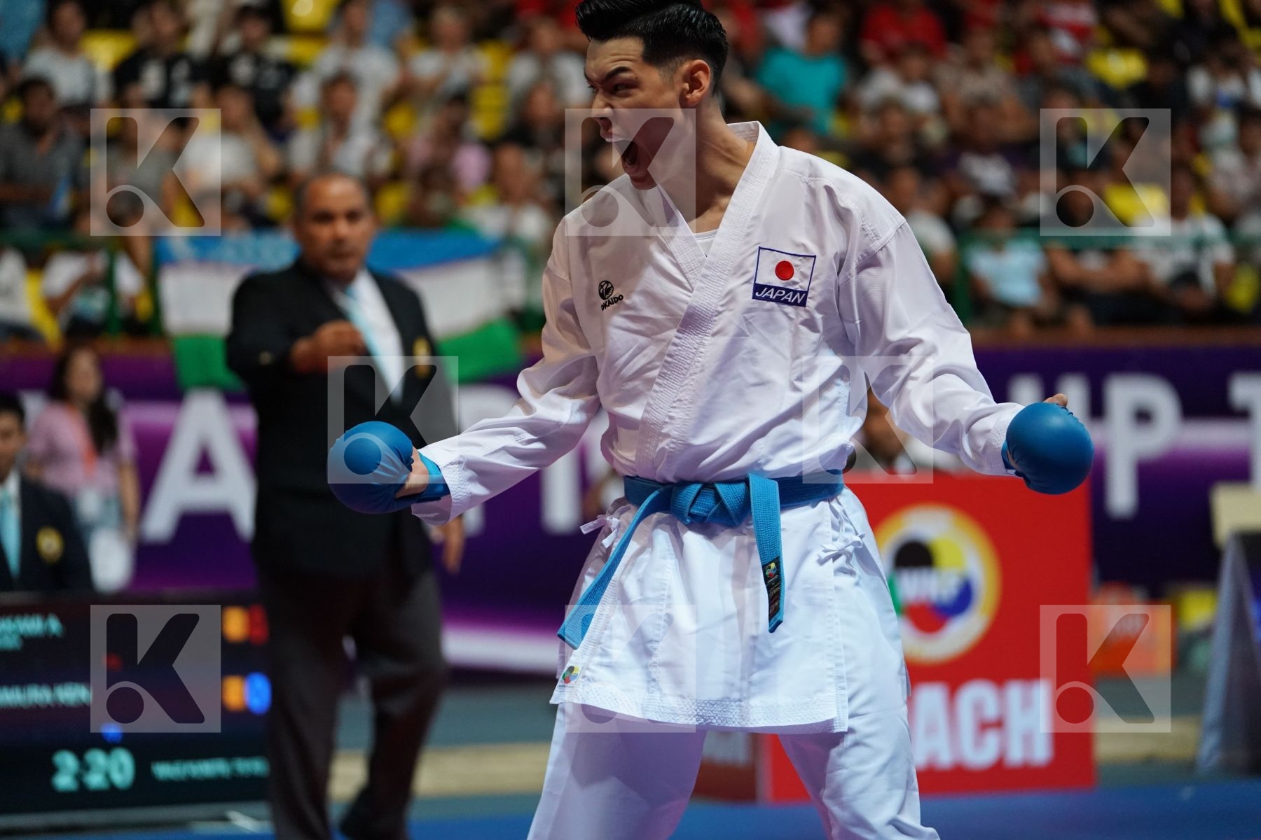 ALHAKAMI ABDULAZIZ (SAUDI ARABIA) vs NISHIMURA KEN (JAPAN) in Senior Kumite -75 Kg - Final bout